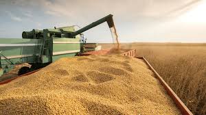 La letra chica de las retenciones a la soja, maíz y trigo.