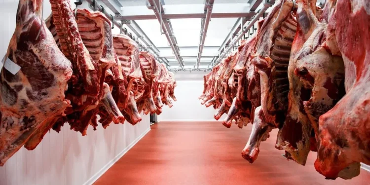 Comercio de carne: Argentina se anota para exportar a Estados Unidos.