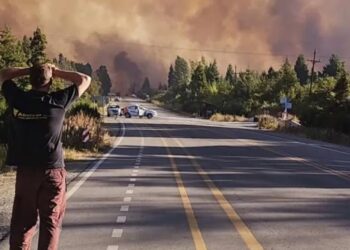 Por los incendios, piden una ley especial en el Congreso.