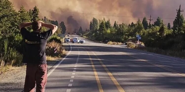 Por los incendios, piden una ley especial en el Congreso.