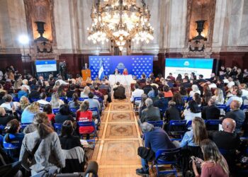 Tensión en el Senado por la Ley de Falsas Denuncias: Legisladores en Desacuerdo