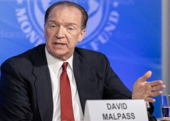 Un exfuncionario de Trump y un economista argentino abogan por la dolarización: ‘Argentina se está hundiendo’