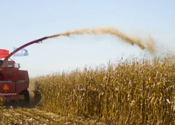 El Gobierno presenta créditos accesibles para el sector agropecuario con el fin de controlar el aumento de precios en alimentos
