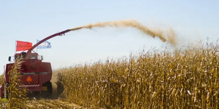 El Gobierno presenta créditos accesibles para el sector agropecuario con el fin de controlar el aumento de precios en alimentos