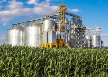 Un vistazo a uno de los principales polos agroindustriales del mundo