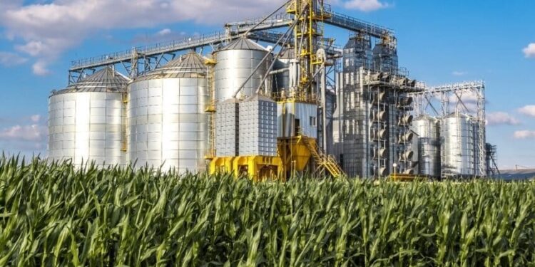 Un vistazo a uno de los principales polos agroindustriales del mundo