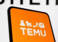 El efecto Temu: los shoppings proyectan reactivación para fin de año y reclaman alivio fiscal ante el avance del comercio electrónico internacional