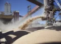 El precio de la soja alcanza máximos desde mayo, acercándose a los u$s440