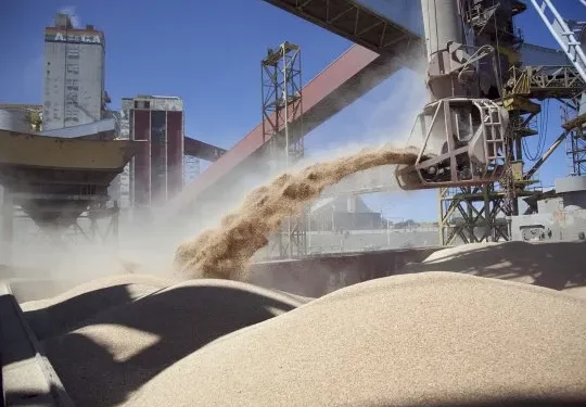 El precio de la soja alcanza máximos desde mayo, acercándose a los u$s440