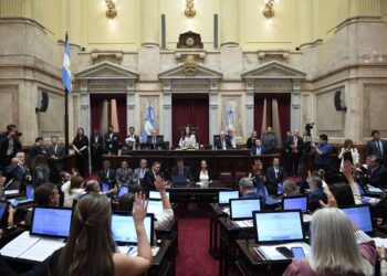 Aprobación de la Ley de Propiedad Privada: detalles de la media sanción del Senado