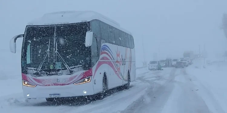 Dos choferes y un coordinador de una empresa de transportes permanecen varados en Las Leñas bajo condiciones extremas