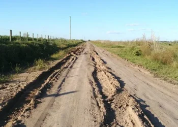 Productores de Magdalena administran el 80% de los fondos para caminos rurales y ya muestran mejoras
