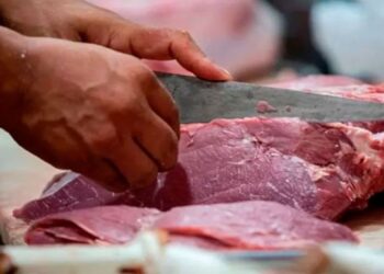 Carne vacuna: Argentina proyecta exportaciones por más de US$3.000 millones pese a vender menos volumen