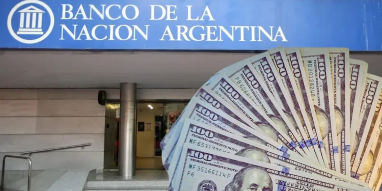 Cotización del dólar oficial: situación del viernes 28 de agosto