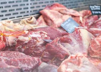 Las exportaciones de carne superaron los US$2.700 millones mientras el consumo interno cayó a un mínimo histórico