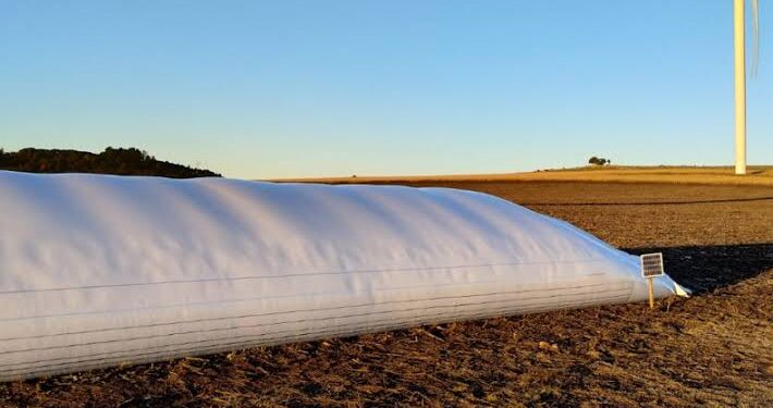 Vandalismo rural: buscan endurecer las penas por daños que afectan la producción y el capital de trabajo