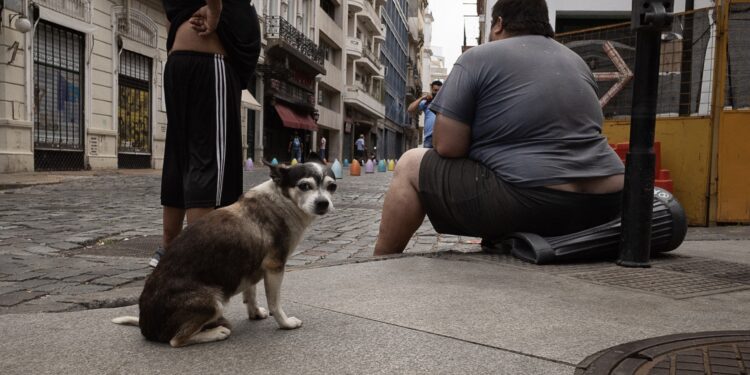 Hasta el 30 de septiembre. Últimos días para inscribirse en el concurso fotográfico gente de mi ciudad