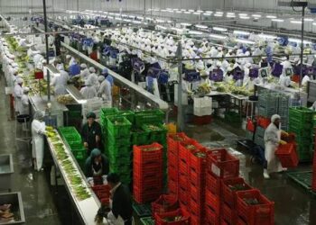La agroexportación ingresó US$2.750 millones en agosto, un 33% más que hace un año