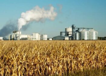El Senado busca cerrar el dictamen de la nueva ley de Biocombustibles con una disputa por los cupos de biodiésel