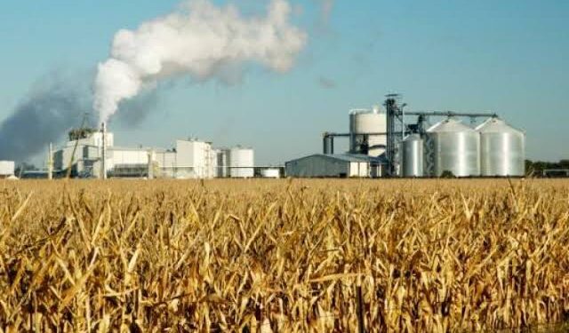 El Senado busca cerrar el dictamen de la nueva ley de Biocombustibles con una disputa por los cupos de biodiésel