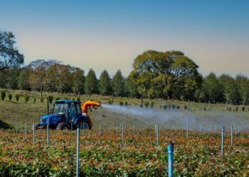 Las exportaciones agroindustriales podrían alcanzar un récord de US$42.200 millones en la campaña 2026/27