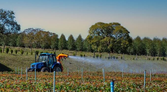 Las exportaciones agroindustriales podrían alcanzar un récord de US$42.200 millones en la campaña 2026/27