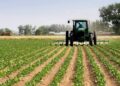 El costo del crédito condiciona decisiones de inversión en las empresas agropecuarias