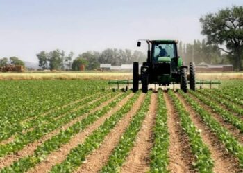 El costo del crédito condiciona decisiones de inversión en las empresas agropecuarias