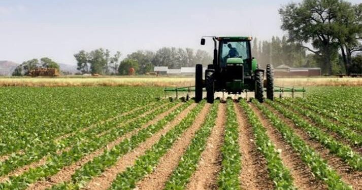 El costo del crédito condiciona decisiones de inversión en las empresas agropecuarias
