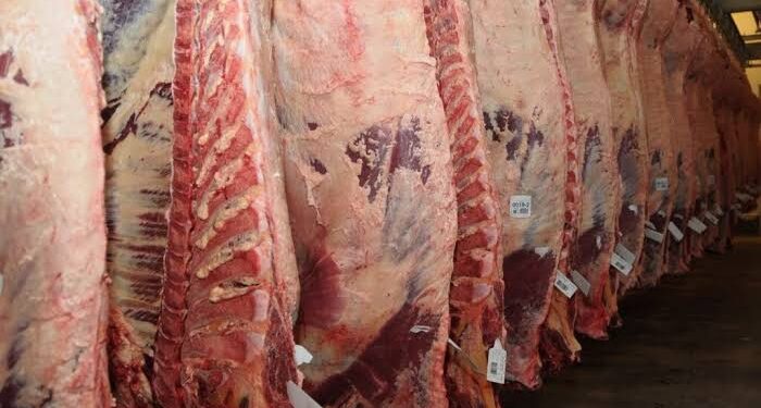 Argentina reabrirá las exportaciones de carne vacuna a Japón tras 20 años