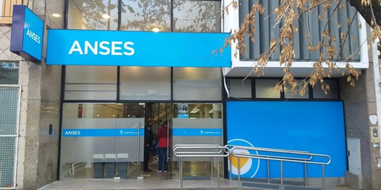 ANSES: cuánto cobran las Pensiones No Contributivas en noviembre de 2026
